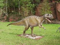 dinosaurier  Archiv  Dokus direkt als Stream anschauen, Dokus4.me, dein Online Doku Archiv