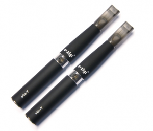 Die Twin Sets Joye der eGo-T
