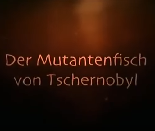 Fisch Tag Dokus Direkt Als Stream Anschauen Dokus4 Me Dein Online Doku Archiv